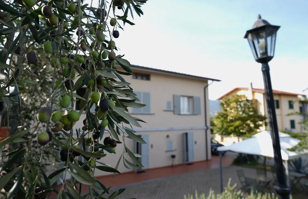 B&B Orsobigio-1